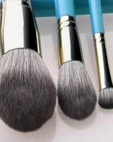 makeup brush sets